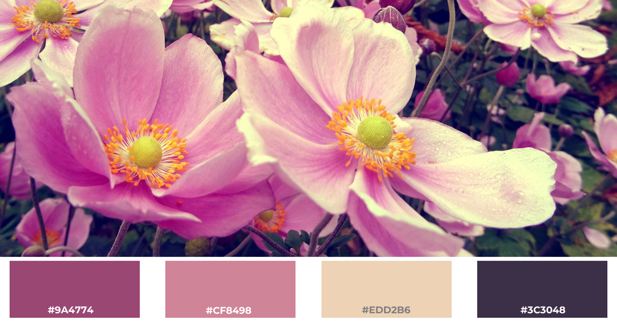 Field of flowers with extracted color palette - Blushing Meadow